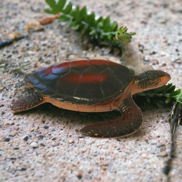 Realistic Sea Turtle Figure Diorama Shadow Box Cake Topper Aquatic Plastic Toy - Picture 1 of 16